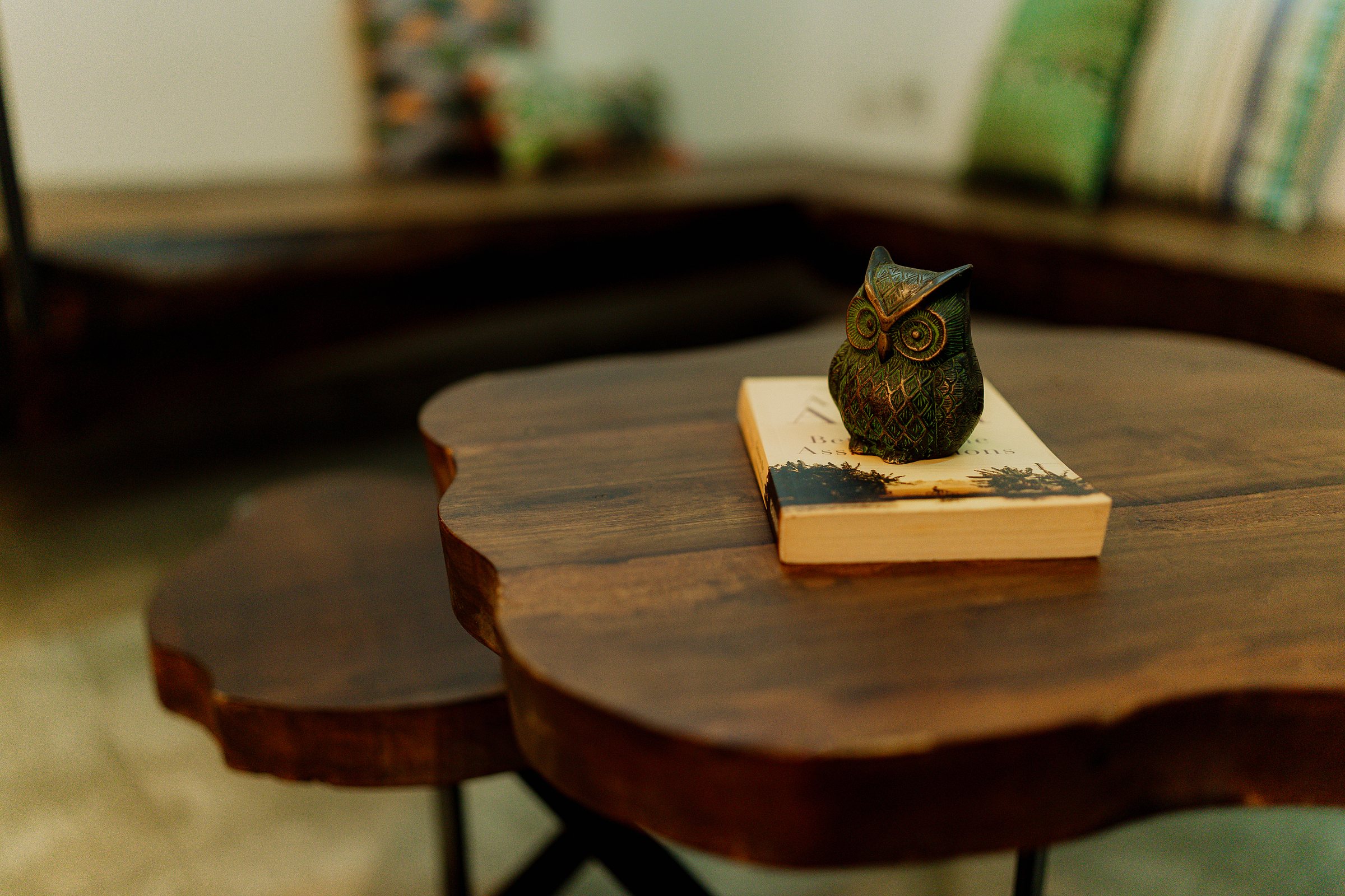 Small owl sculpture resting on a book atop an irregular solid-wood coffee table