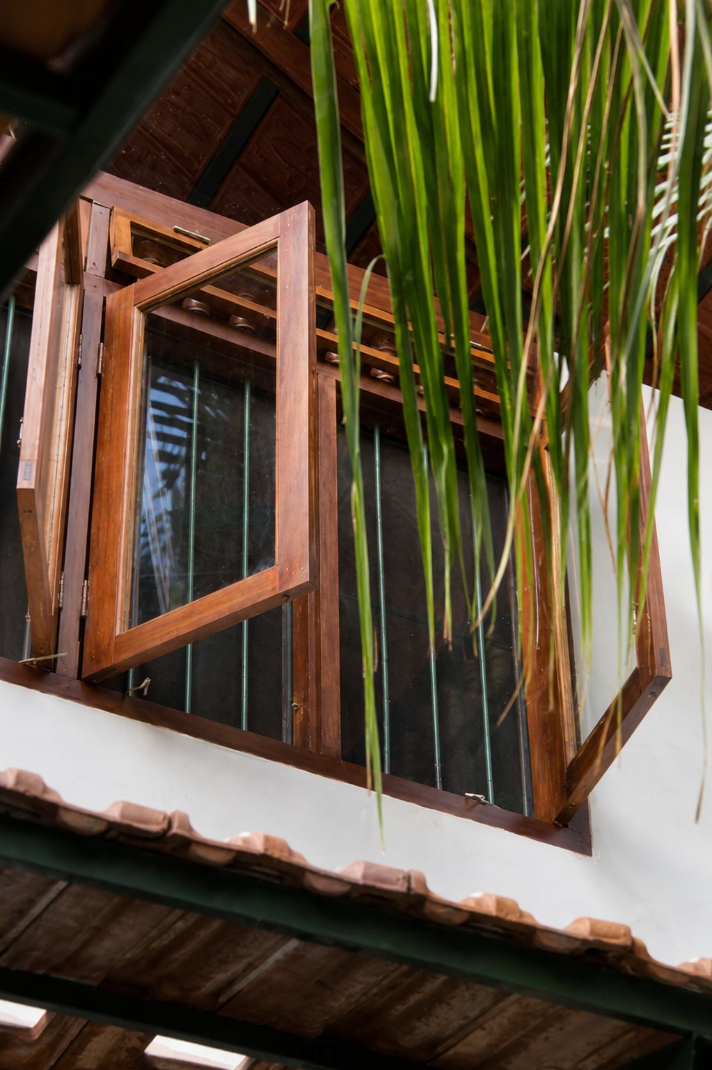 Open wood casement window under deep eaves, partly veiled by palm fronds