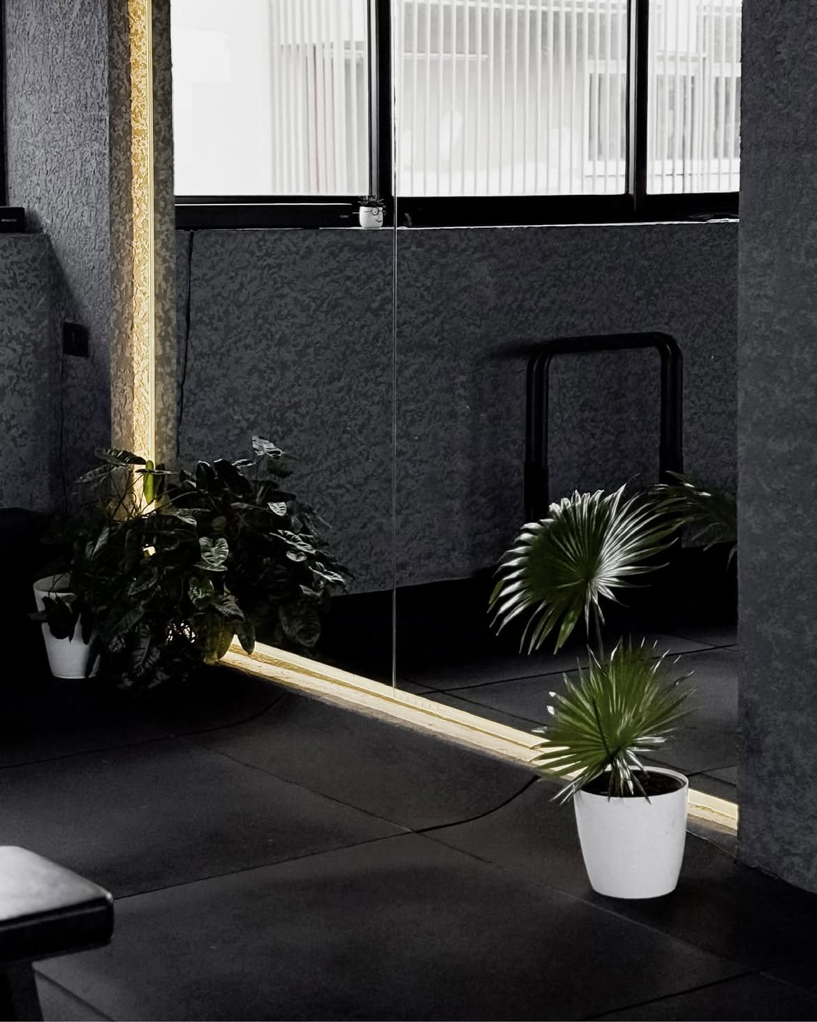 Gold-trimmed gym mirror reflecting dark textured walls, with leafy plants at its base